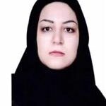 Person 20600 LPIZA 150x150 - دهن کجی شورای شهر به مصوبات دستگاه قضا